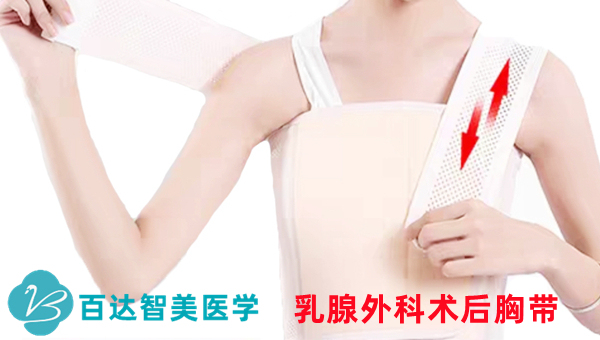 1763363467910142.jpg 医用胸骨固定带_副本.jpg