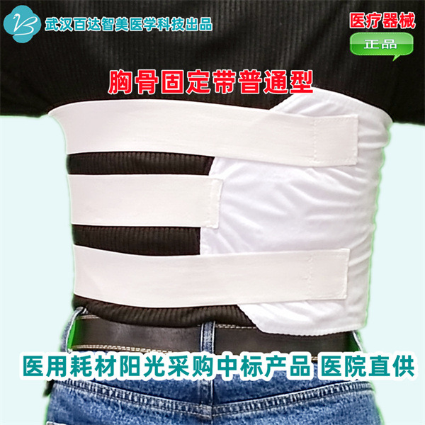 1783052138763126.jpg 胸骨固定带普通型 后_副本 (2).jpg