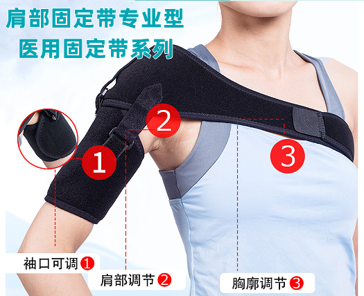 1784597664455580.jpg 肩部固定带专业型图_副本.jpg